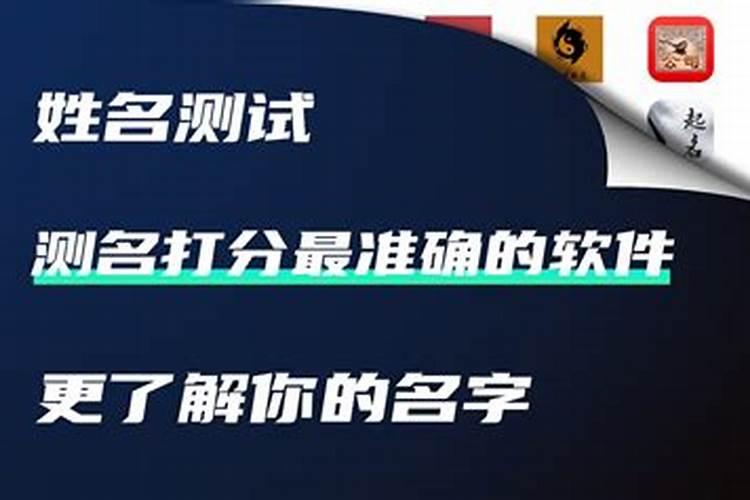 济南重阳饺子面积多大？