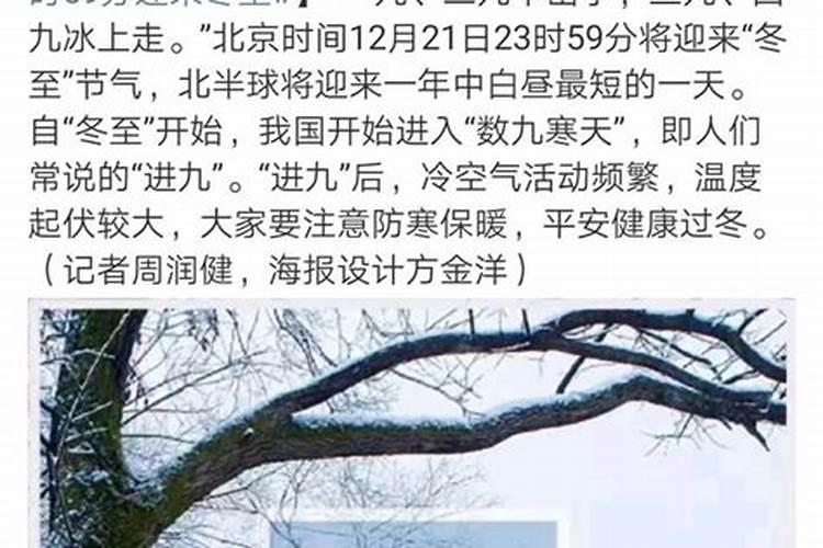 属鸡的2021年运势运程,属鸡人2021年运势运程每月运程