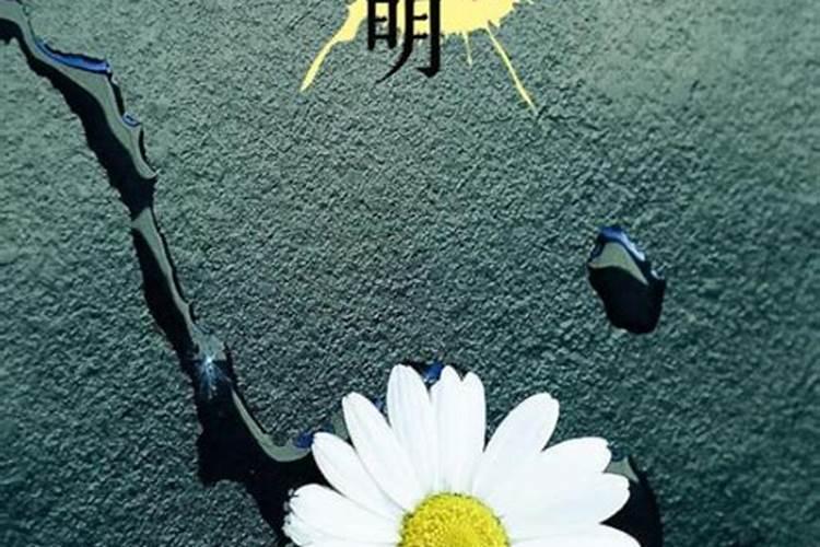 清明节上坟说什么？