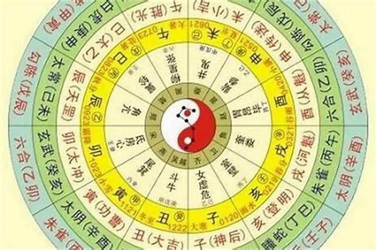 鼠人逢鼠年运势好不好 运程解析