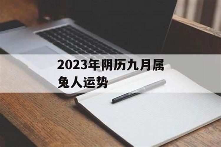 农历十二月的兔命运怎么样 到了12月吉星照耀？