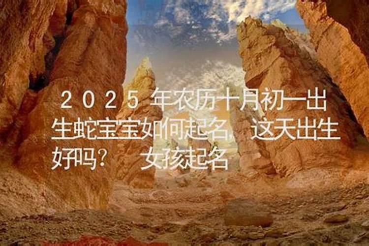 2023年十月初一出生范姓男孩名字