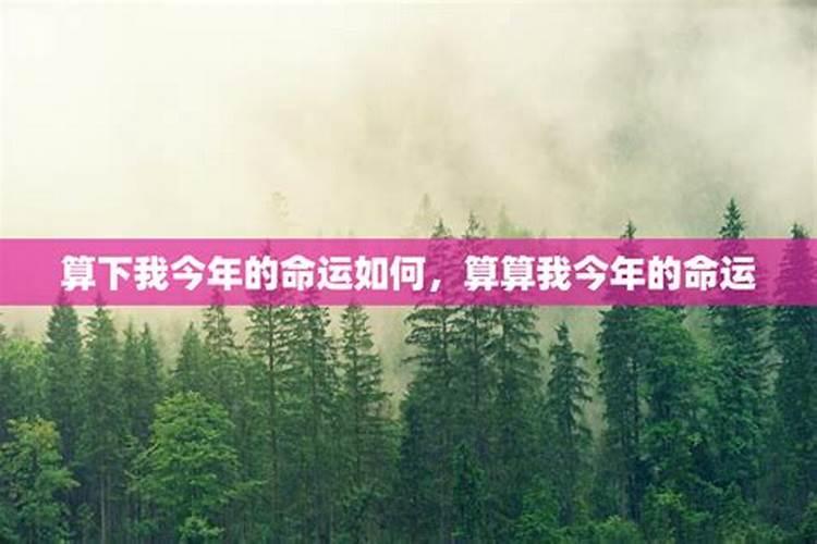 1986年属虎男2025年感情婚姻