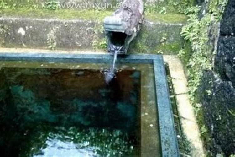 梦见墓地出泉水的预兆