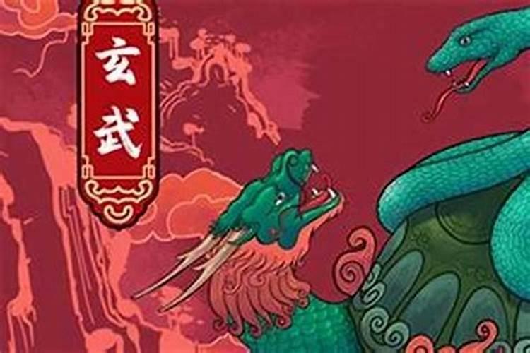 65年属蛇女的婚姻,十二生肖与人生运势