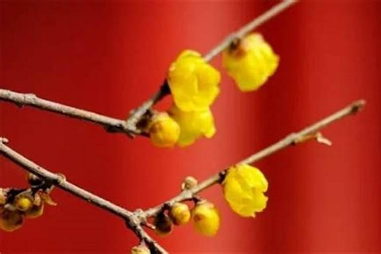 三月十五有什么说法