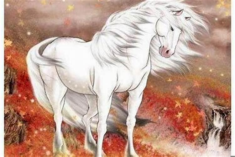 马和猴属相合不合