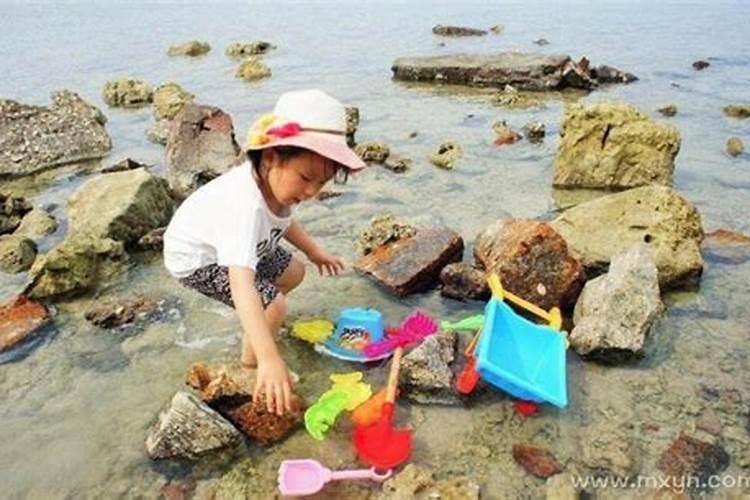 周公解梦梦见母猪,男人梦见猪是什么预兆