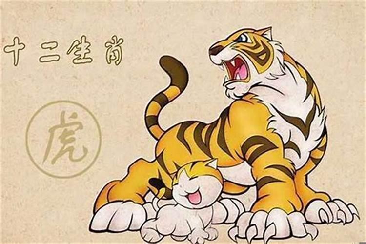 安徽冬至吃什么