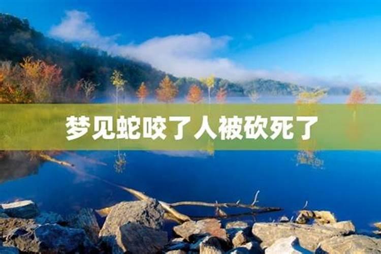 梦见巨蟒咬人我把它杀了