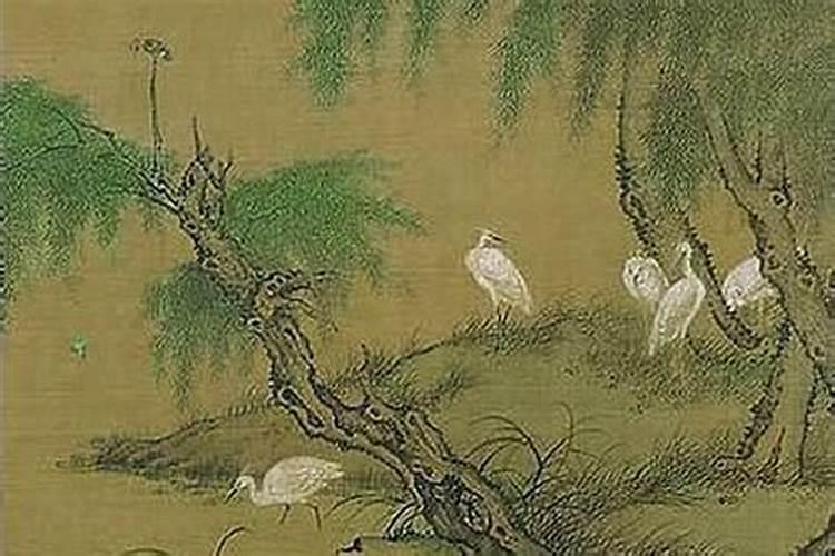 属蛇的什么命？