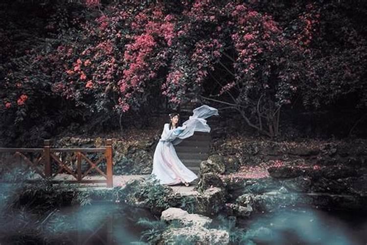 立冬的节气特点简写,立冬又叫什么名字