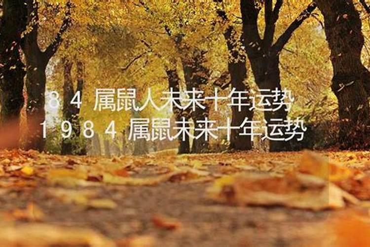 1984年属鼠男2025年运势每月运势