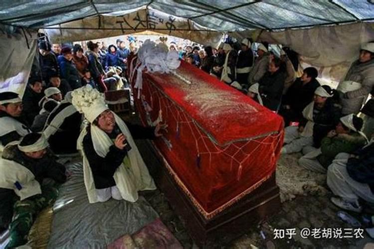 2025年的春运从哪天开始