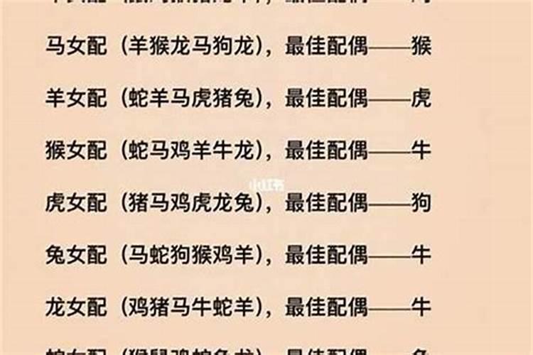 96年属老鼠的和什么属相最配婚最好 老鼠跟什么属相相冲