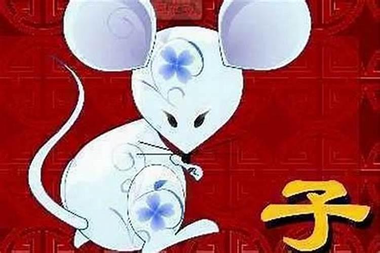 老鼠嫁给龙好不好？老鼠和龙配吗？