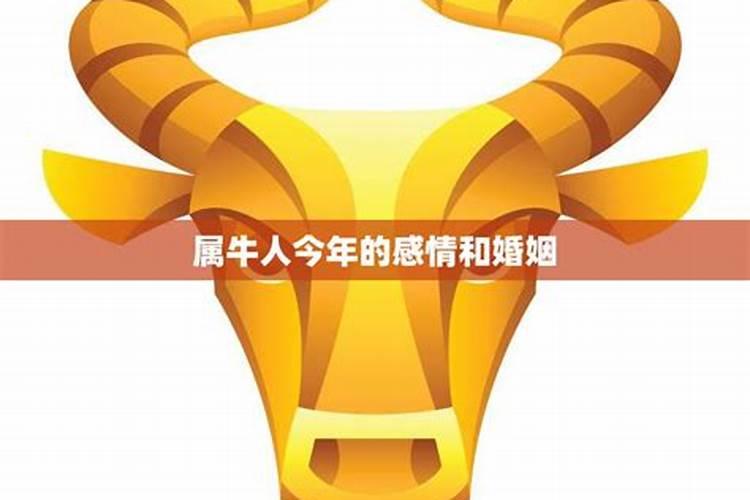 冬至生的孩子有什么说法吗
