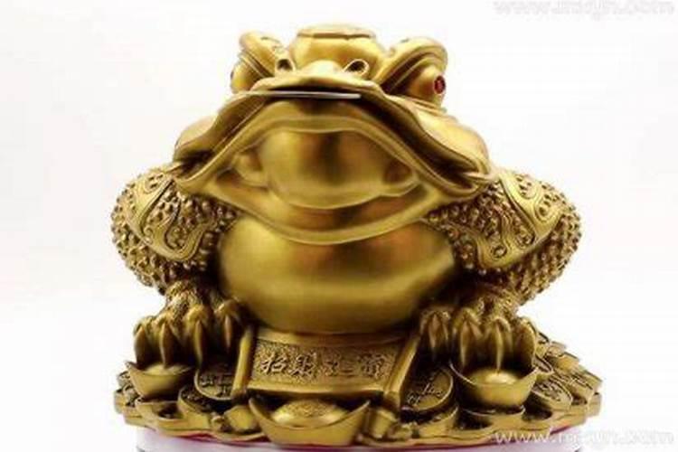 1995年猪的生活是怎样的？1995年猪的运势如何？