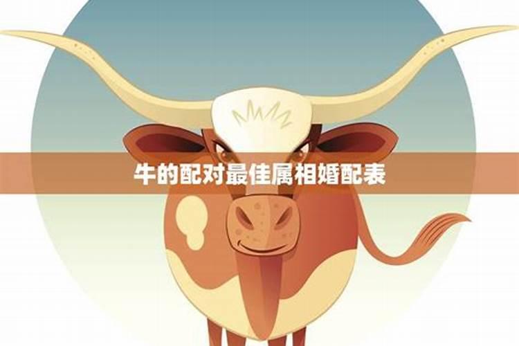 属牛的和什么属相最配婚姻最合适