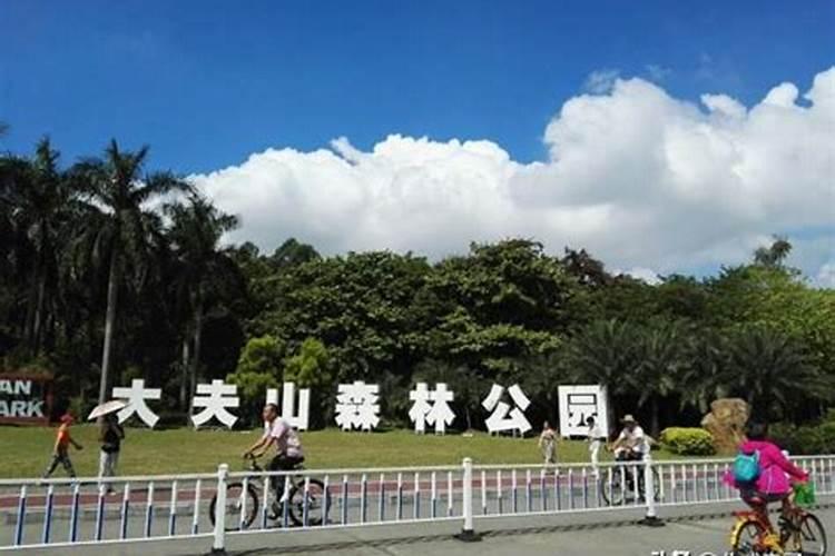 整容界的天花板!盘点靠整容实现逆天改命的明星