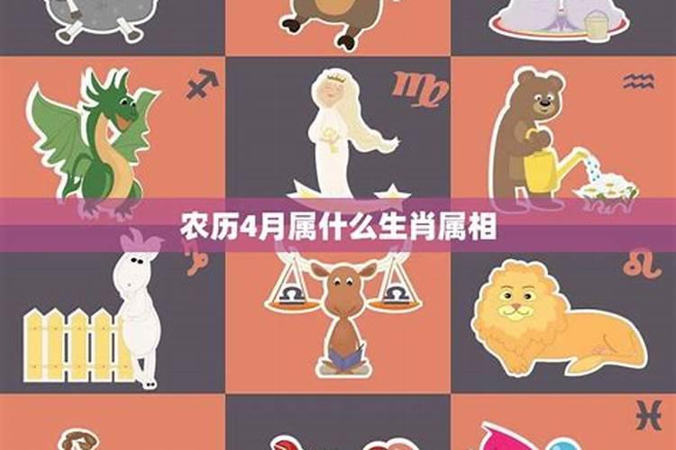 猪年属狗人的运势如何 运程解析？