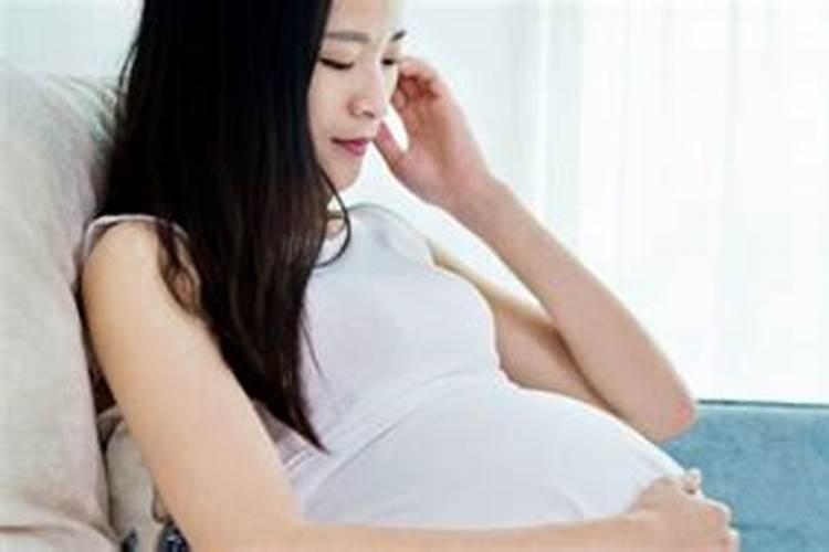 八字详批:解读命运与人生的奥秘