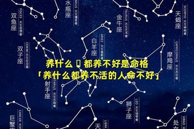八字阴阳