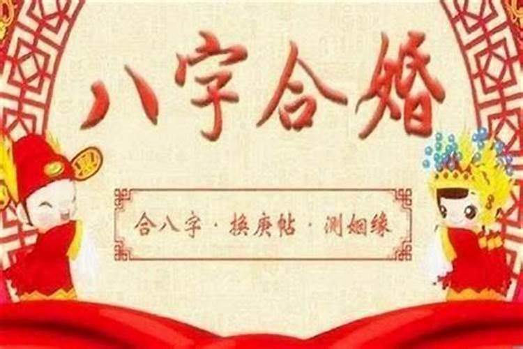 属牛和属鼠的合不合(属鼠与属牛八字合吗)