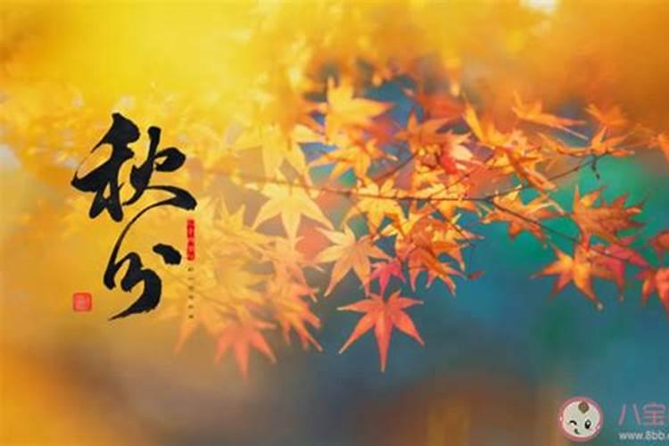 梦见杀牛没杀死预示着什么？有什么特殊意思？