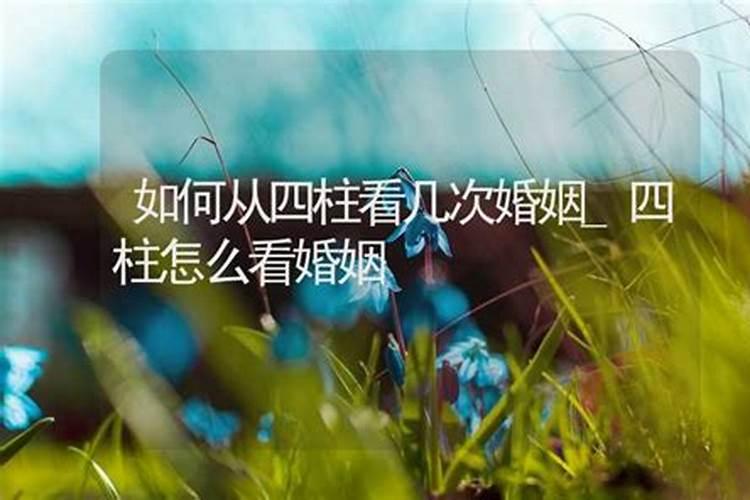 2025年出生的人是什么命