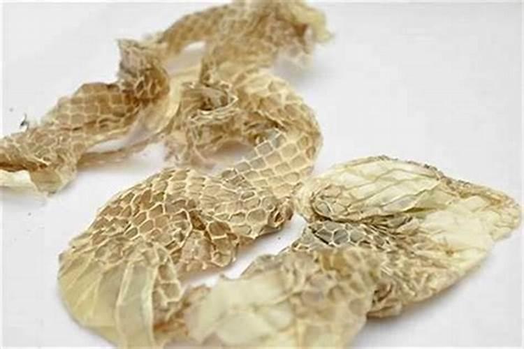梦见蛇皮是什么预兆 女性？