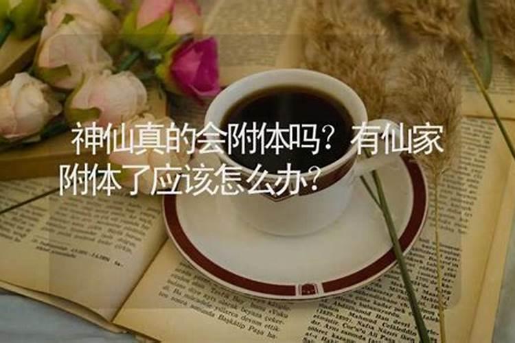 属猪的和什么属相最配