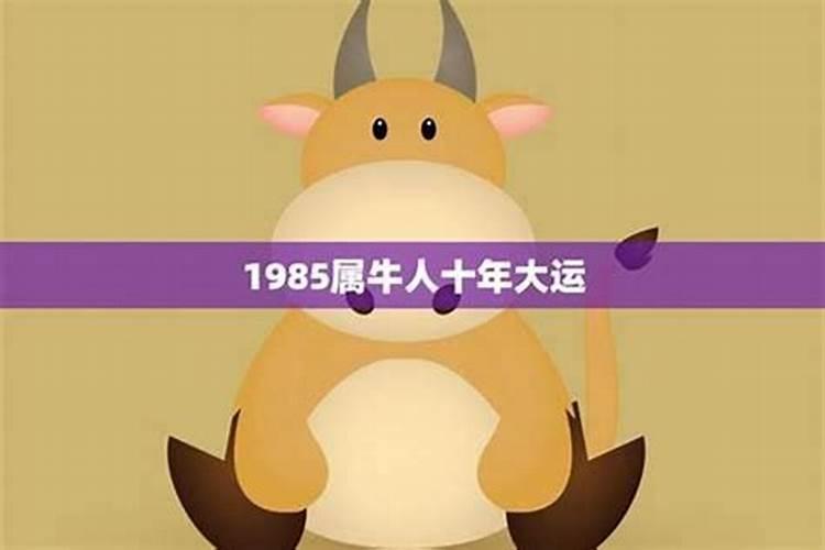 1973年2025年属牛人的全年运势