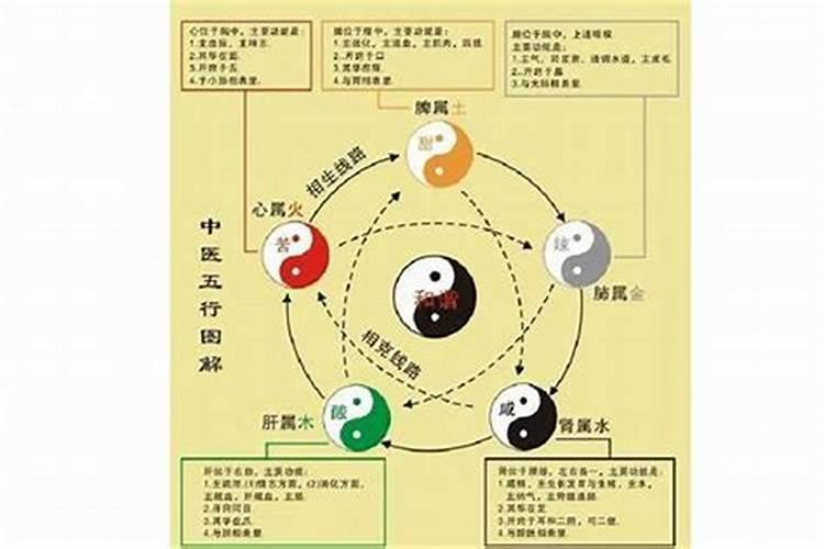 梦见便便溢出马桶的预兆