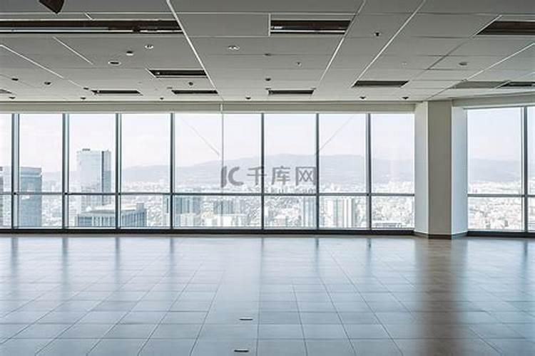 梦到一只特别粘人的猫预示着什么意思