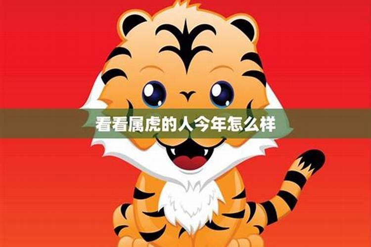 属虎人2025全年运势详解 属虎人2025年每月运势