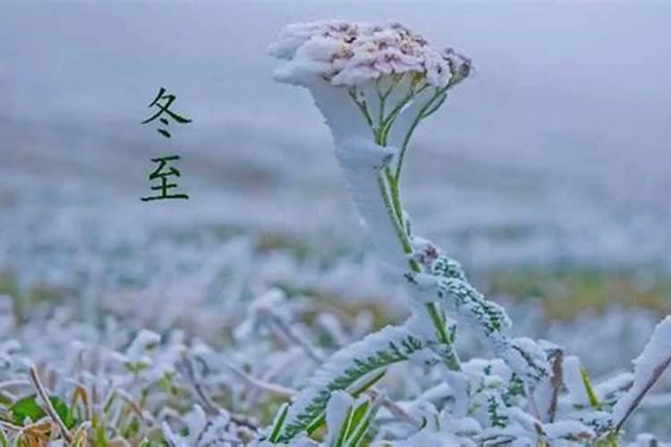 2021冬至扫墓是哪里的风俗