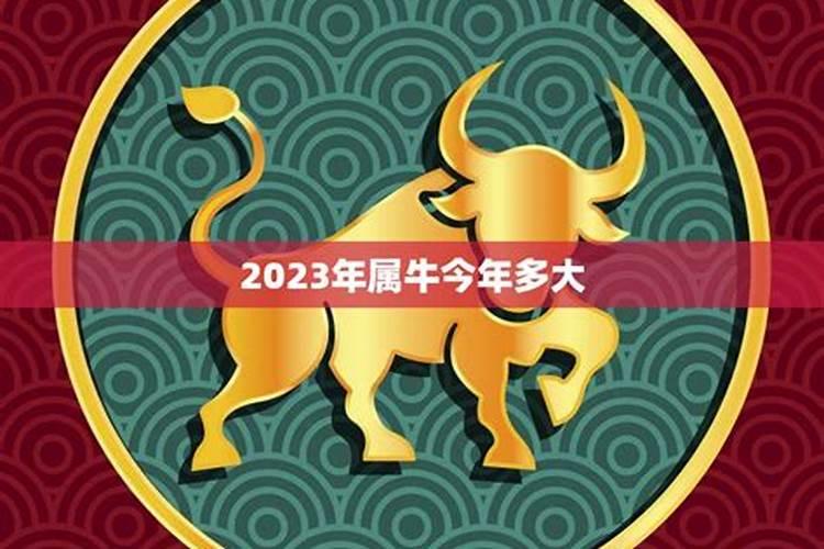 梦见蛇是什么预兆女人