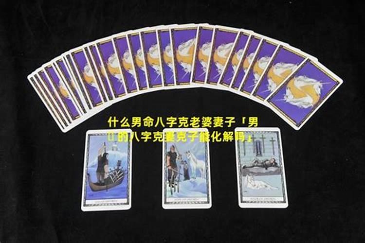 属虎的人每月运势