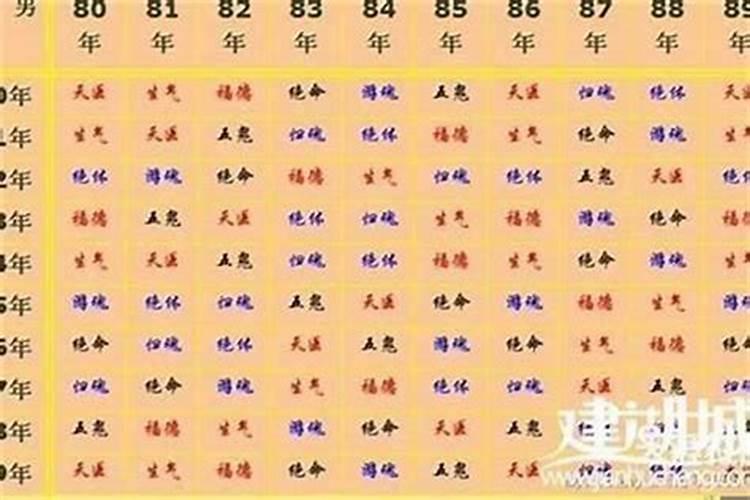父亲属马儿子属鸡会不会不和