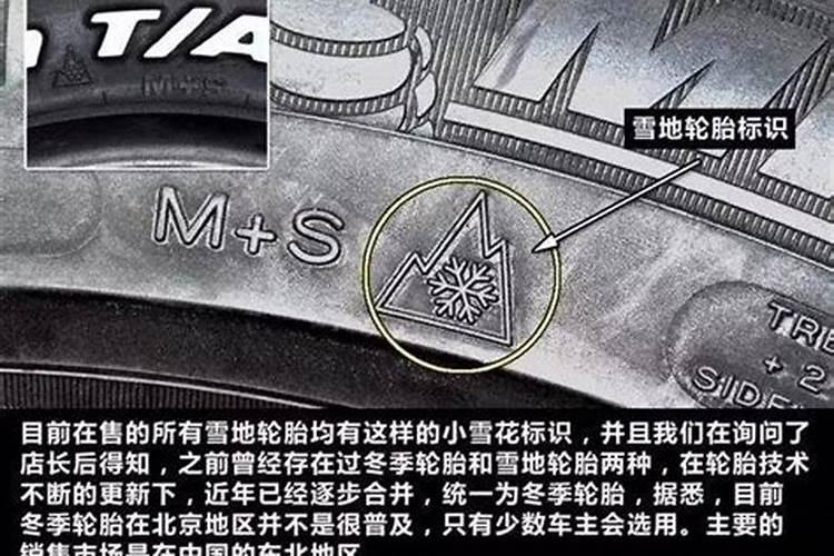算命说的童子指什么