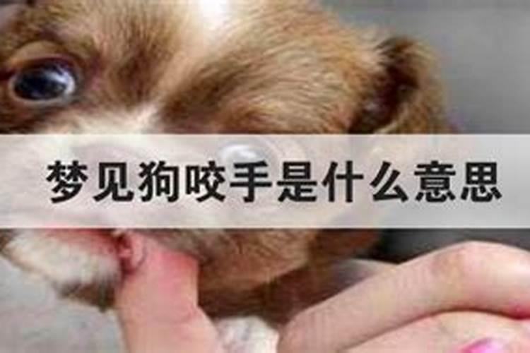 梦见狗咬我的手是什么意思？