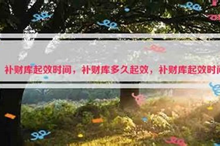 补了财库一般多久见效