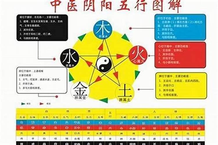 五行里面的强木弱木是什么意思？