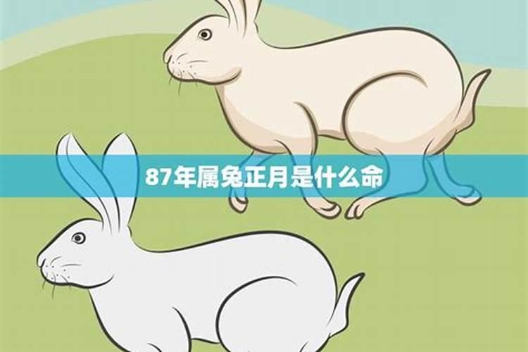 梦见好多人在一起吃饭有什么征兆