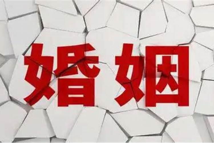 属鸡今年运势2025年运势如何