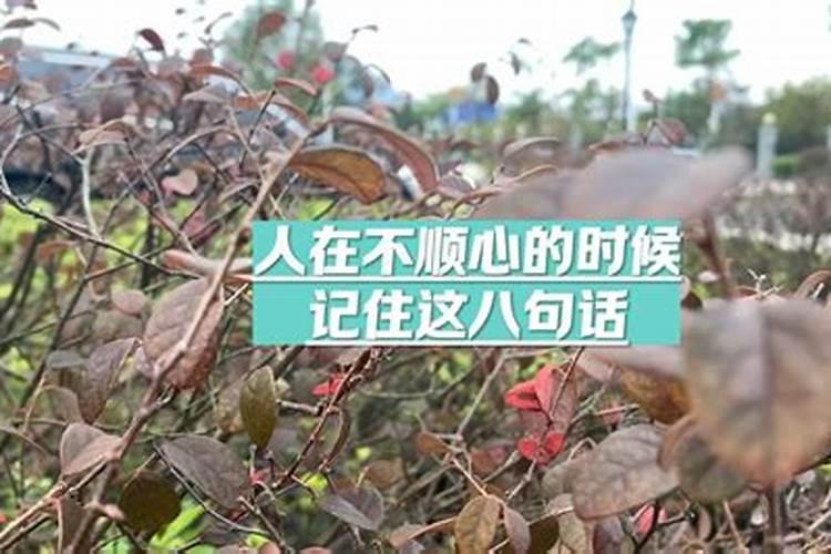 求财诵什么佛经最好