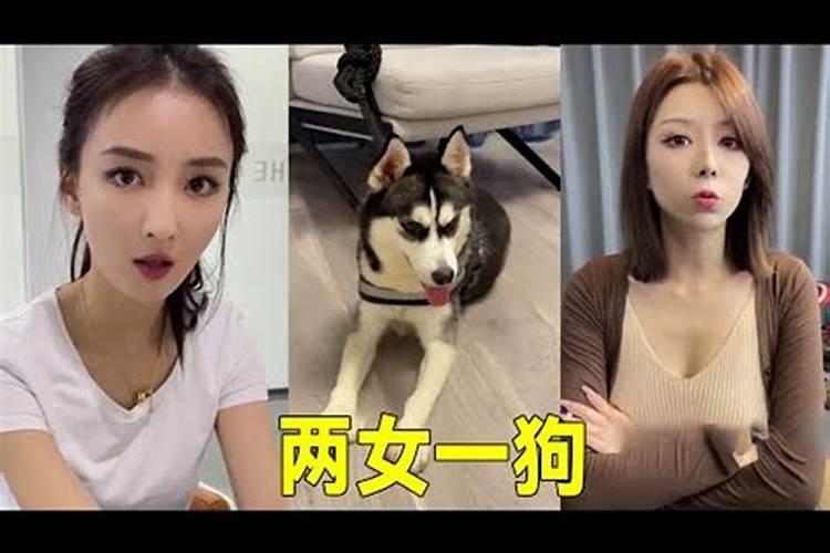 唯爱你是什么意思？