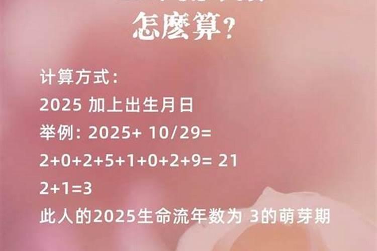 生命灵数看12生肖一生运势旺衰