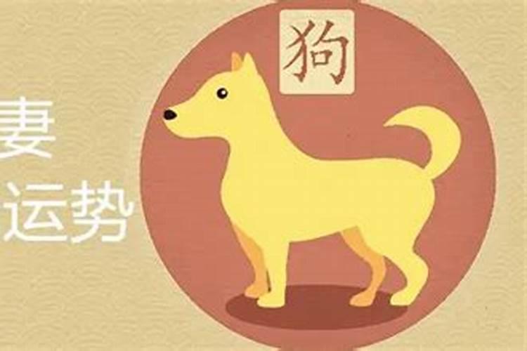 阴历十月初一初生女孩属羊好吗